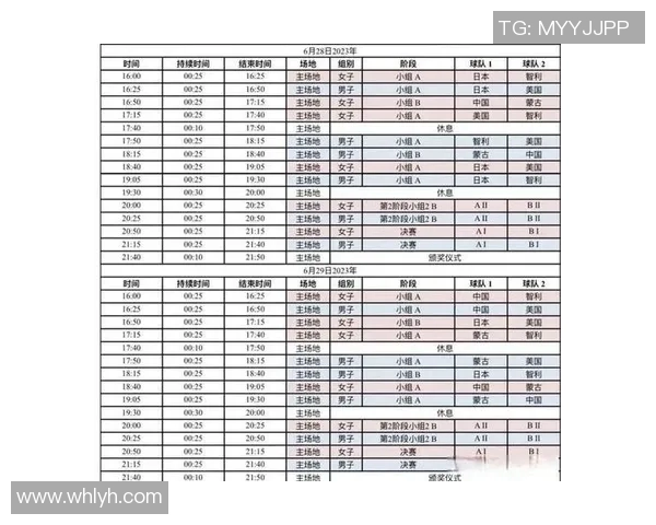 上海排球队的战术节奏分析与未来发展展望