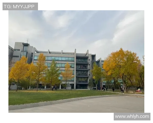 南京乒乓球队团队协作排名创新高展现团结拼搏精神引领新风潮