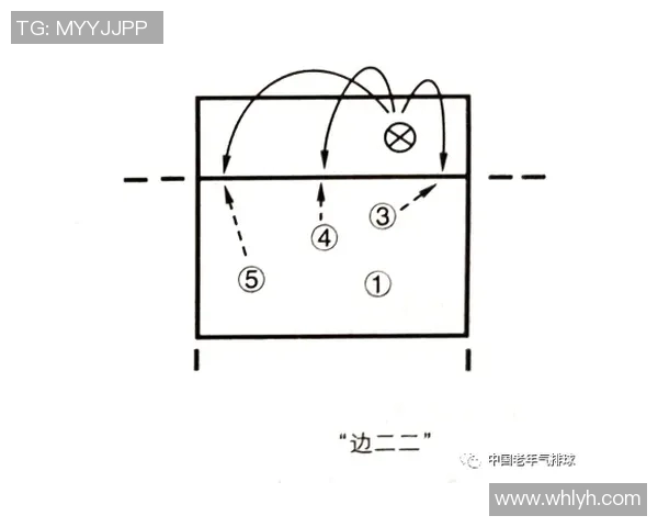 深入分析北京排球队进攻战术与技术特点的全景解读