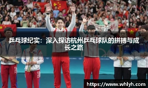 bsports官网入口