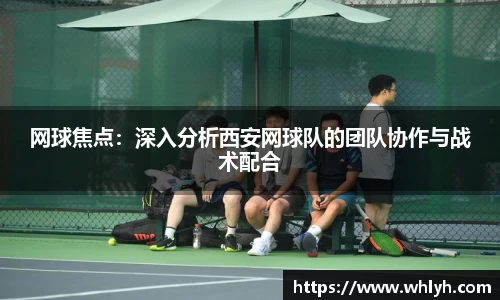 bsports官网入口