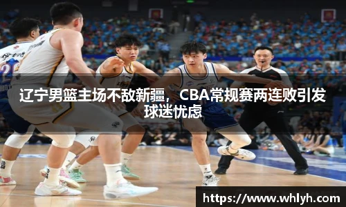 B体育bsports