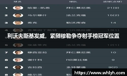 B体育官网