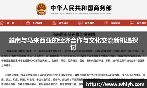 bsports官网入口